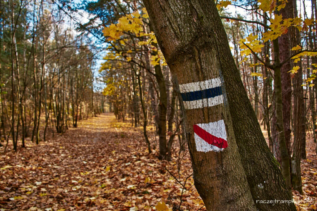 Oznakowanie szlaku i ścieżki dydaktycznej