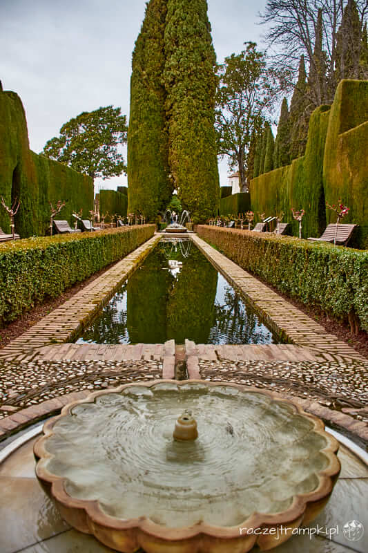 Fontanna i roślinnośc w ogrodach Alhambry.