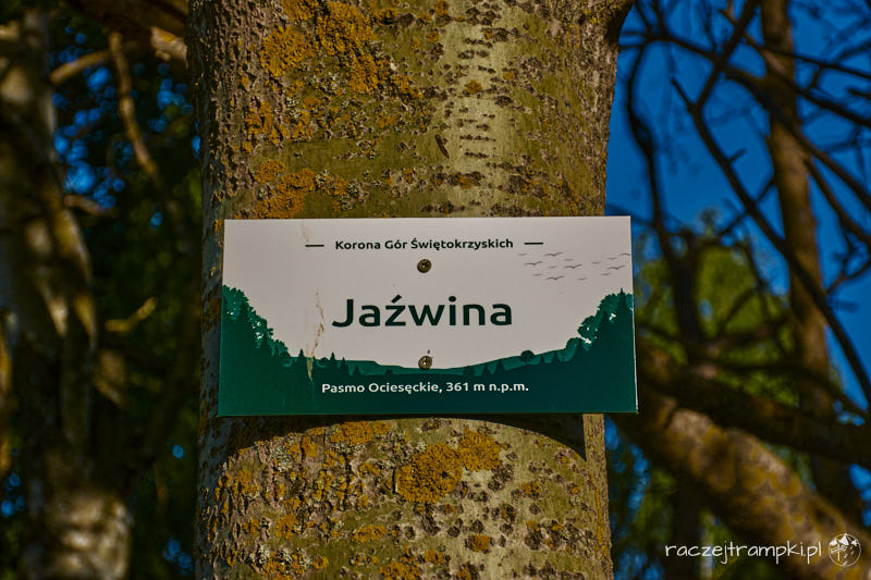 góry świętokrzyskie szczyt jaźwina