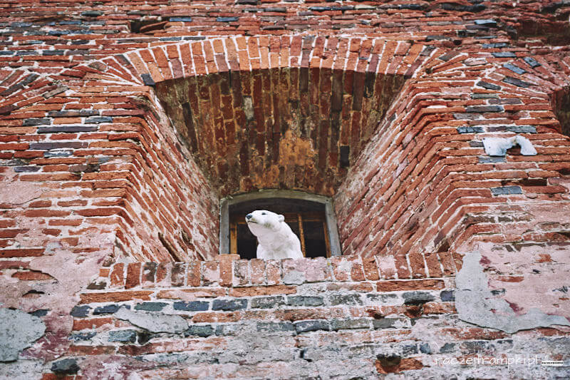 figurka niedźwiedzia w reducie napoleońskiej