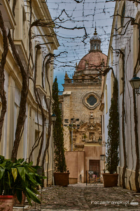 Bodega Tio Pepe widok na katedrę