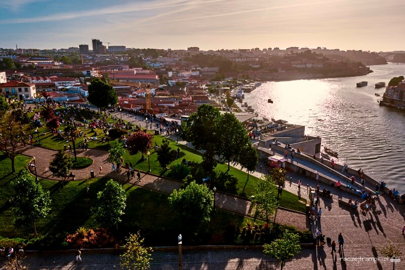 jardnim do morro porto