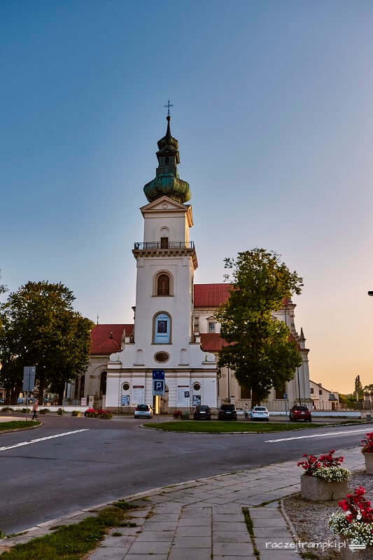 zamość