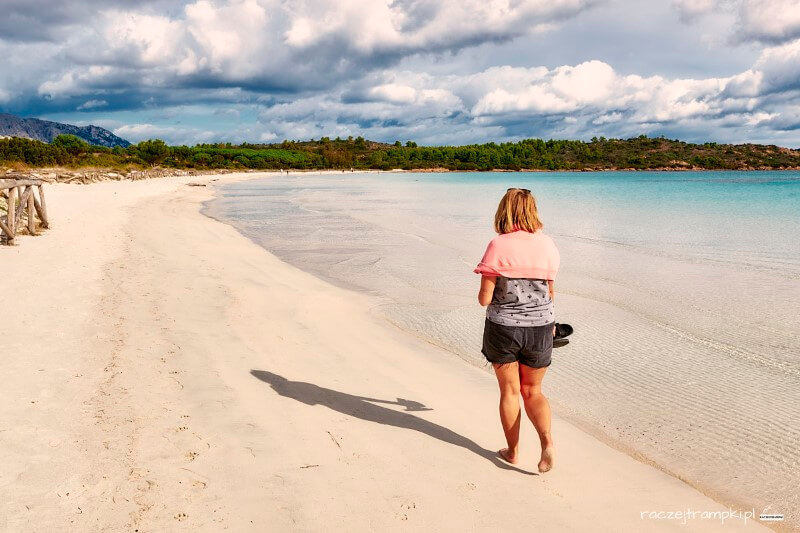 sardynia plaża brandinchi