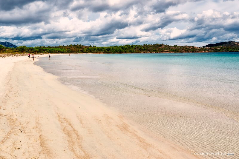 sardynia plaża brandinchi