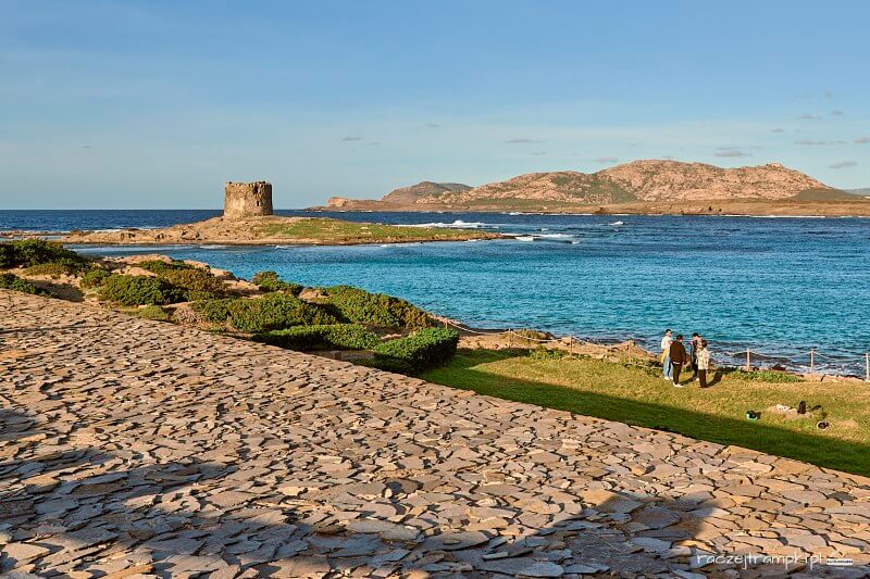 plaża la pelosa sardynia
